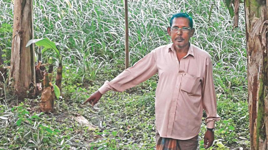 Martyrs' graves on verge.jpg