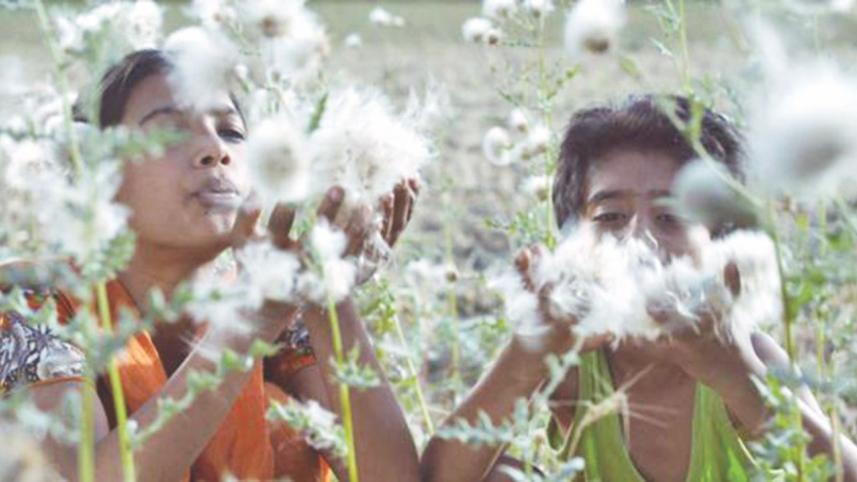 Mati'r Proja'r Desh-e