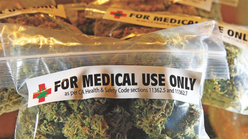 Medical cannabis.jpg