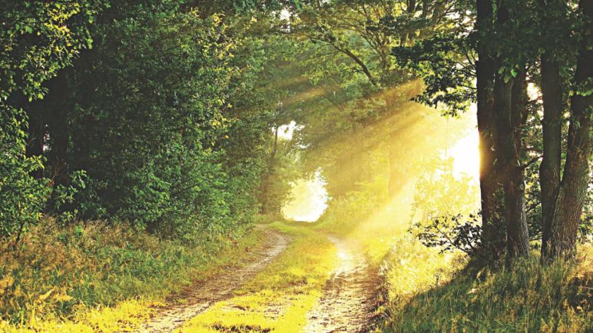 Melbourne Diurnal.jpg