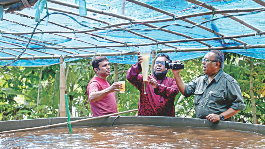 modern fish farm.jpg