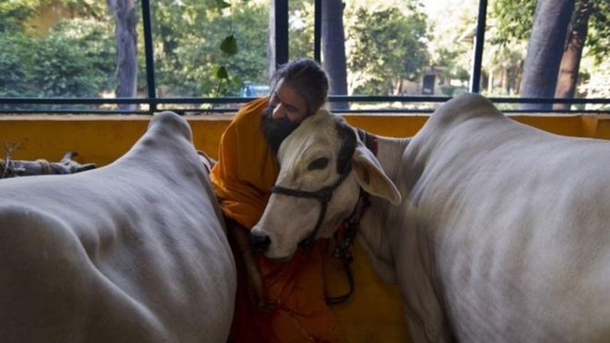 In recent times there have been allegations regarding assaults on minority communities and dalits in India over the issues related to cows