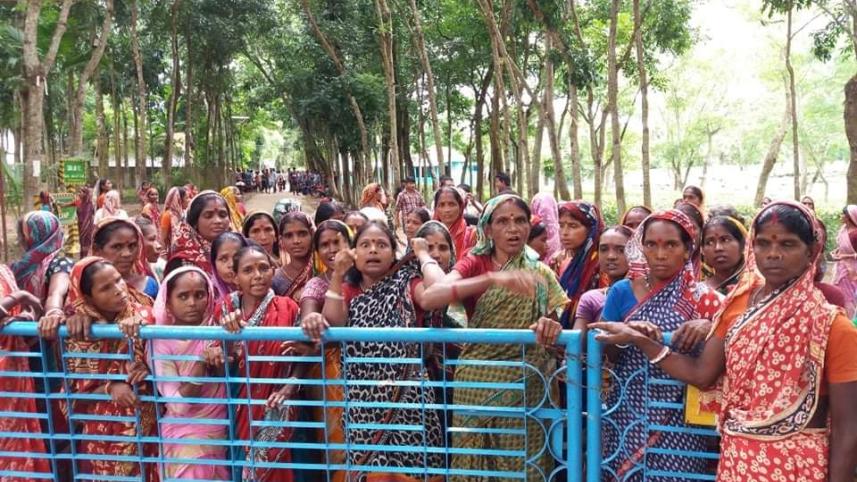 Moulvibazar tea workers.jpeg