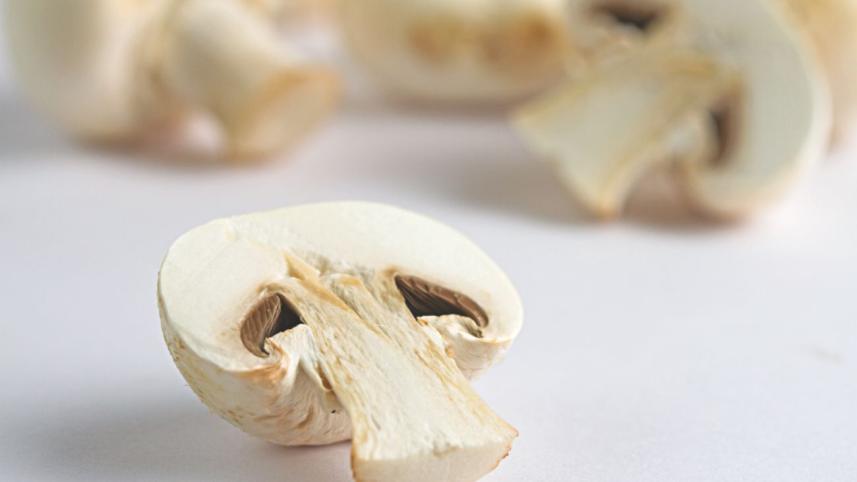 Super Food Mushroom the fungi