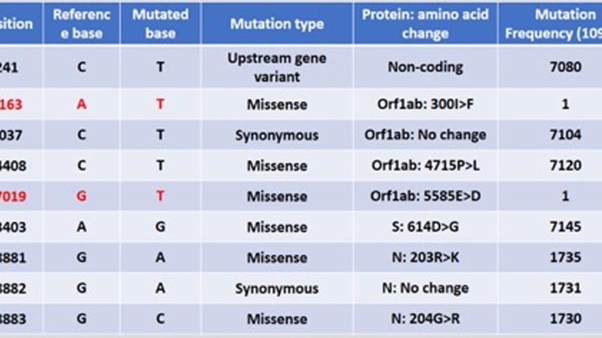 Mystery-of-SARS-CoV-2-genome.jpg