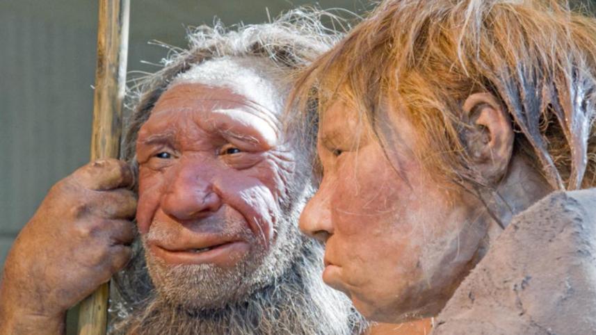 Neanderthal-museaum-AP.jpg