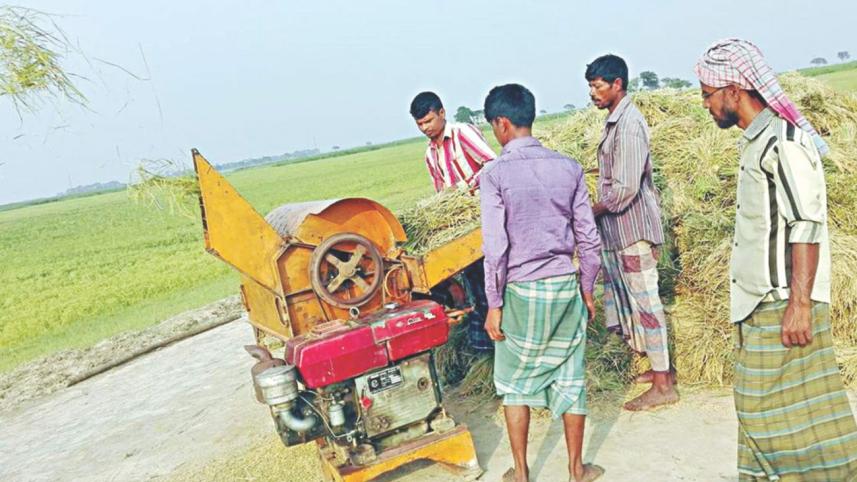 Netrakona haor farmers.jpg