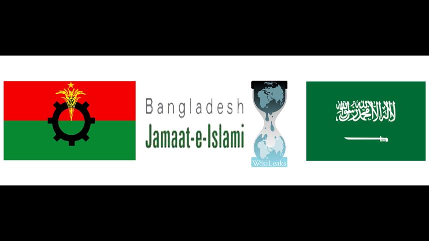 New Wilileaks story photo.jpg