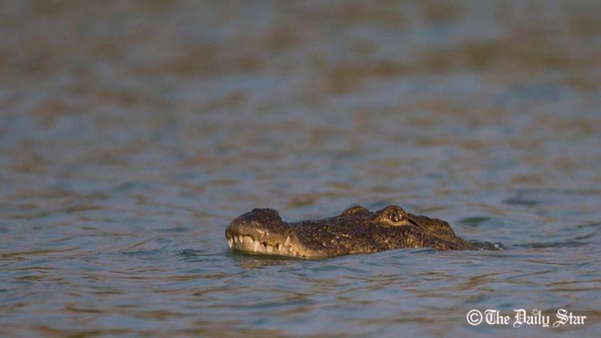 NIB Photo 19th Dec.jpg