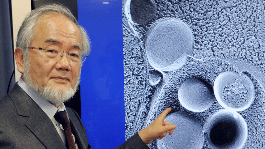 NOBEL-PRIZE-MEDICINE