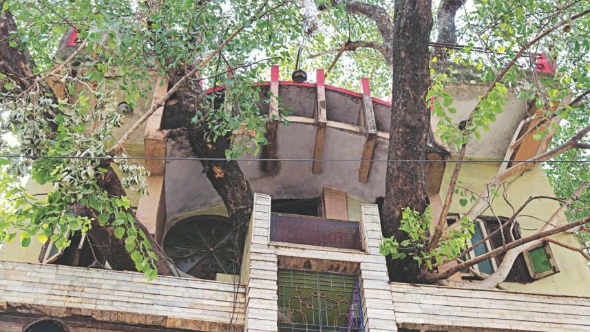 novel tree house.jpg