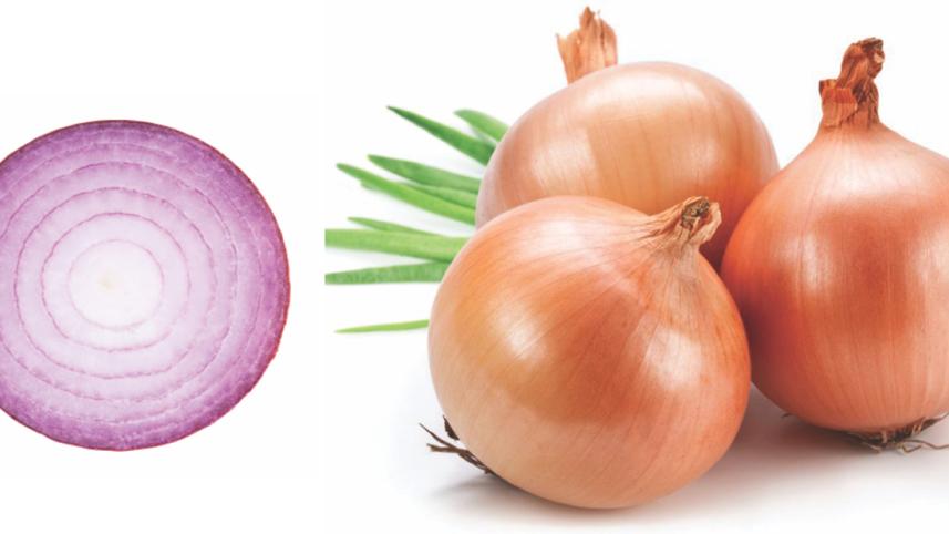 onion.jpg