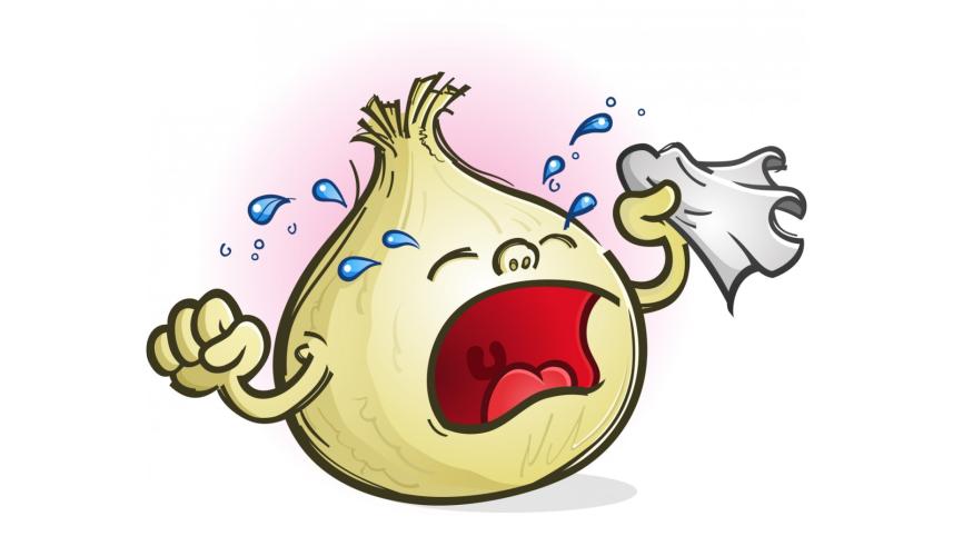 onion crisis symbolic.jpg