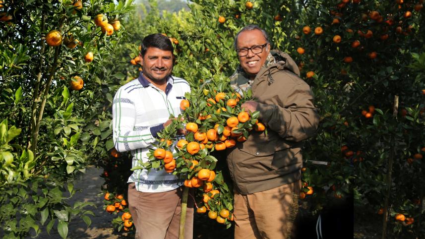 orange on plain land.jpg
