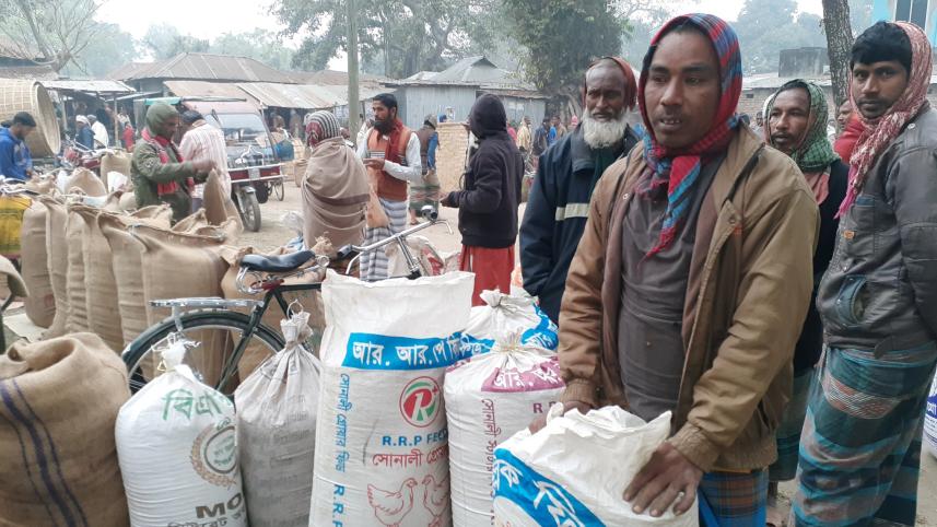 Paddy prices dip.jpg