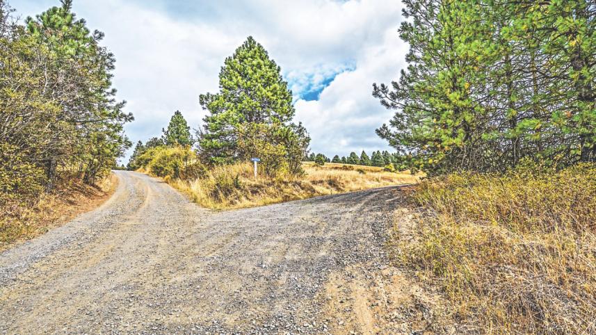 Pale Blue Grocery Bag