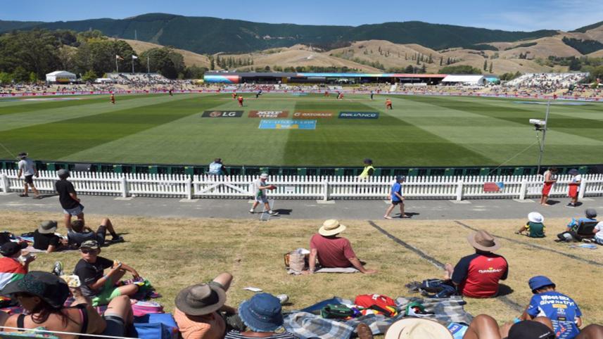Panoramic view of the field