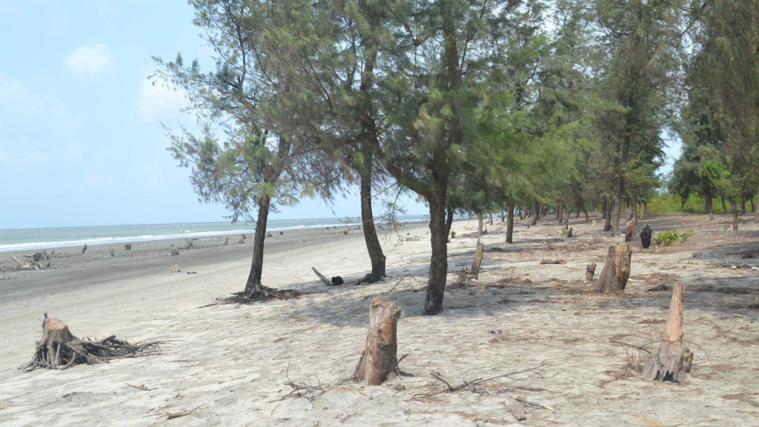 patuakhali_picture_461_20.06.16.jgp_.jpg