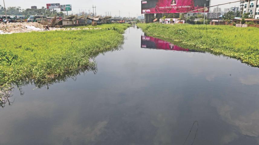 perennial waterlogging crisis 1.jpg