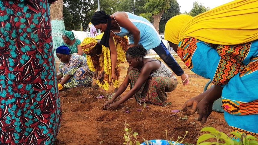 Photo 1 - Micro-gardening .jpg