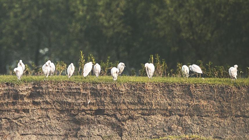 photo background 2.jpg