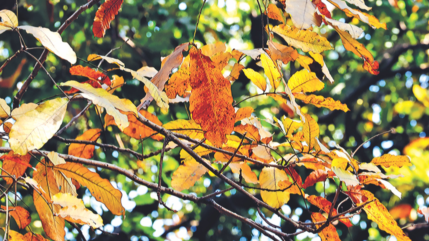 Photo of the day.jpg