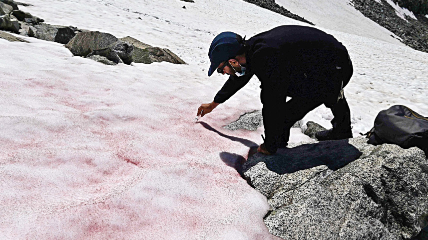 Pink-ice-Alps.jpg