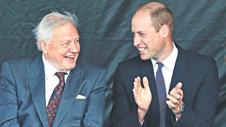 Prince William.jpg