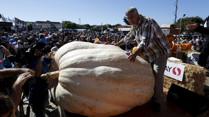 pumpkin-reuters-wb.jpg
