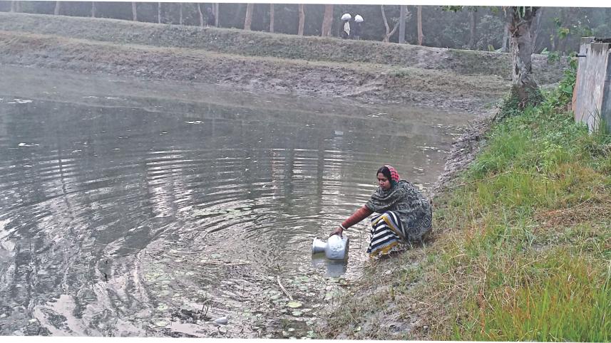 Pure water without filter.jpg