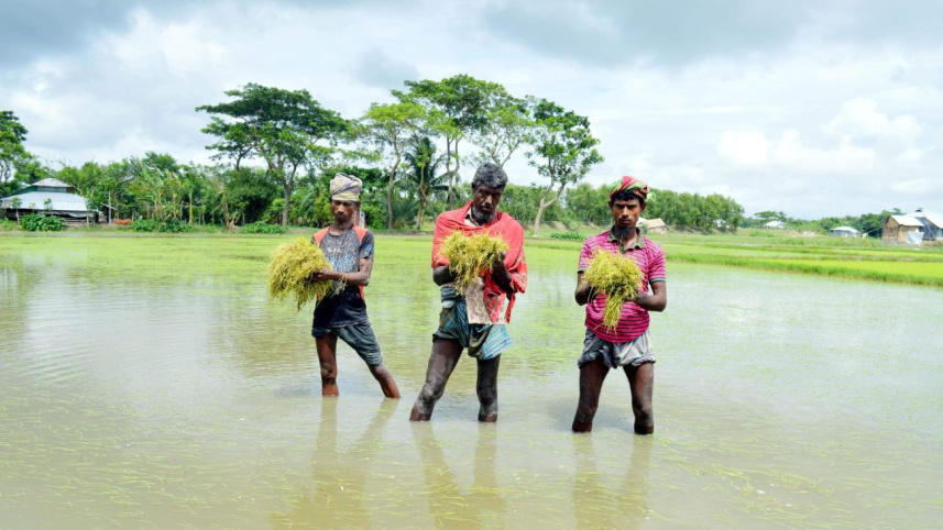Rain spoils aman.jpg