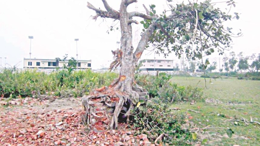 Rakhain graveyard.jpg