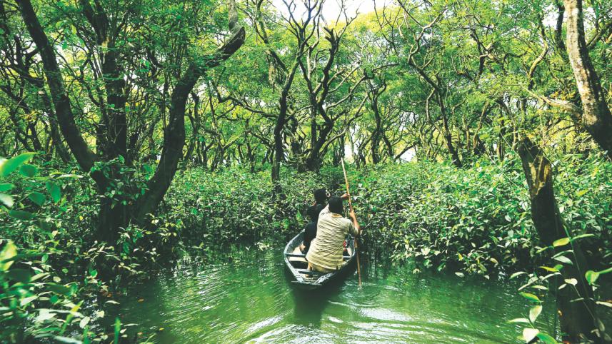 Ratargul Swamp Forest 1.jpg