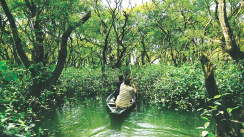 Ratargul Swamp Forest in Sylhet