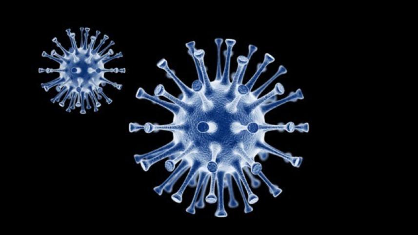 Coronavirus Outbreak in Bangladesh