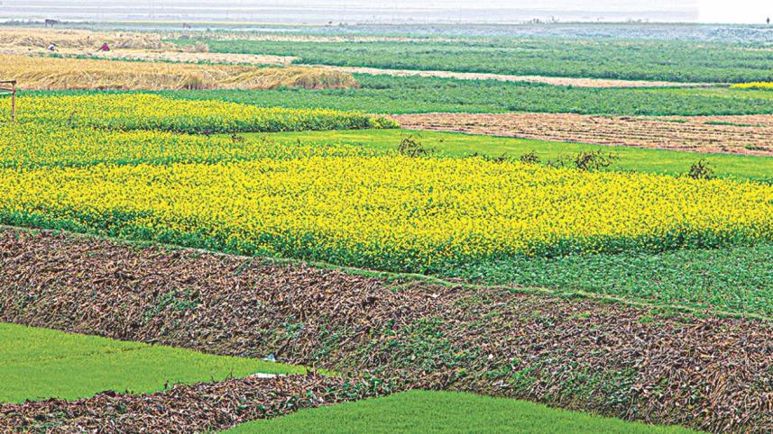 Respecting Nature.jpg