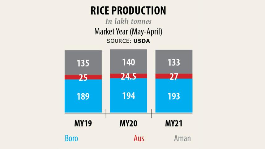 rice-production.jpg