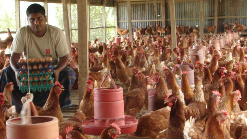 Ripon at his poultry farm.jpg