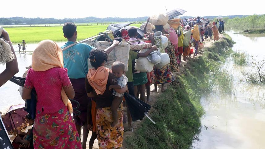 Rohingya, Rohingya refugee