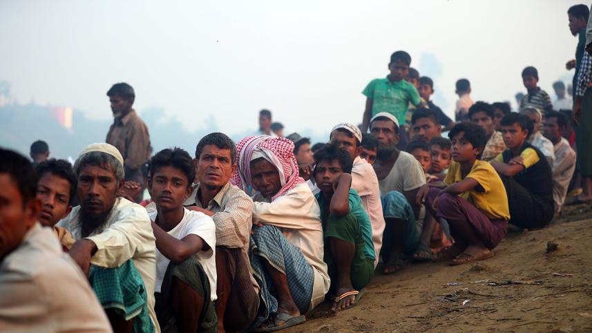 rohingya