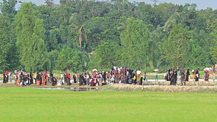 rohingya under attack.jpg