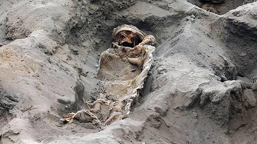 sacrificed children wb.jpg