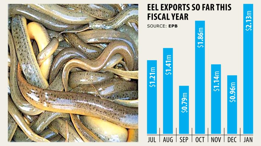 Sakhipur eel farmers.jpg