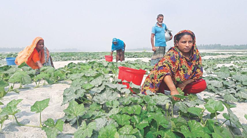 sandy land green.jpg