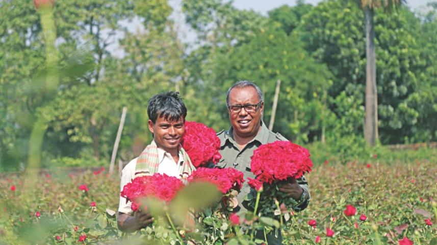 Savar rose villages.jpg