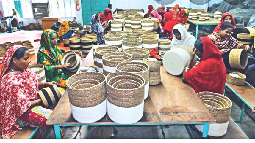 Seagrass from southern Bangladesh.jpg