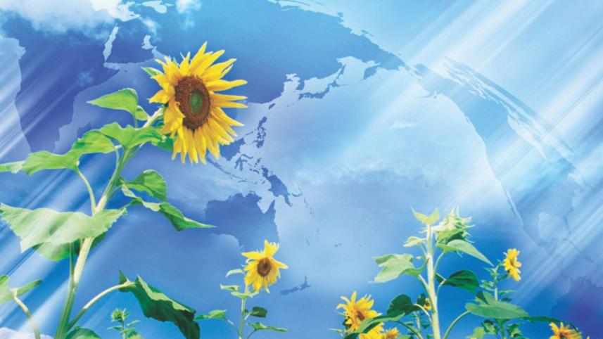 Shaping A Better Future Together