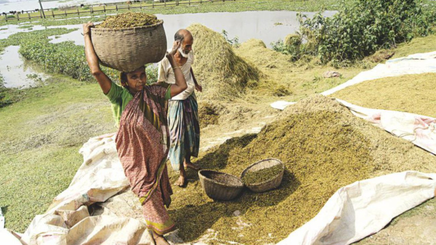 small farmer
