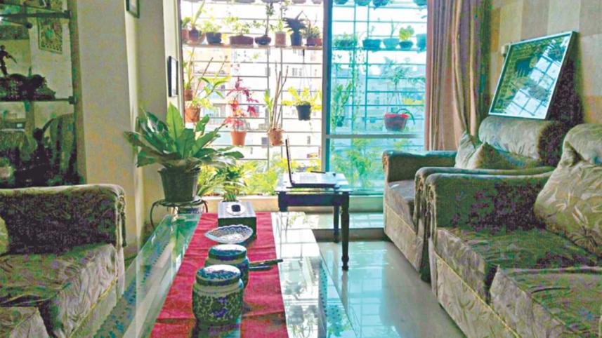 Small space greenery