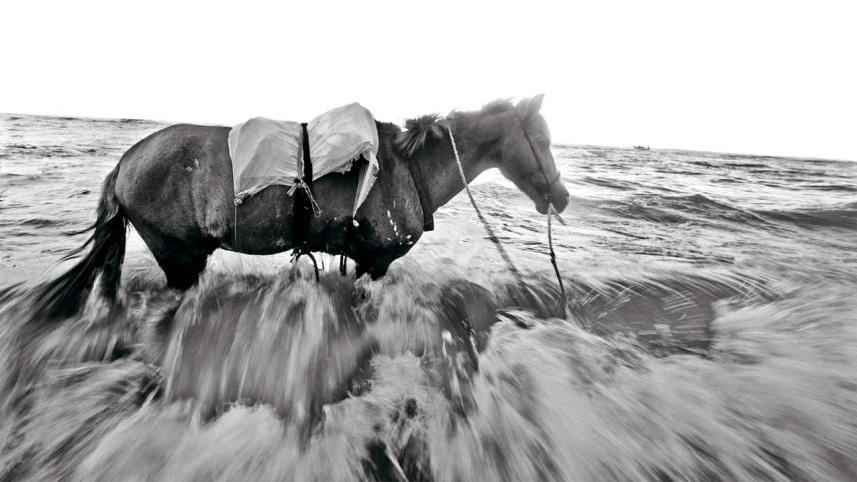 Sheikh Mehedi Morshed